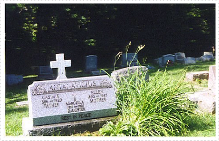 Bagdes Antanavicius tombstone Bagdes Antanavicius tombstone